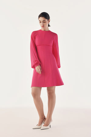 Panelled Skater Sheer Sleeved Dress