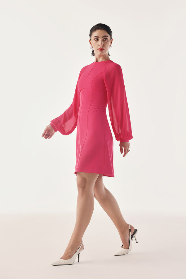 Panelled Skater Sheer Sleeved Dress