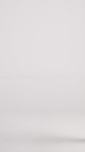 Reframed Cropped Blazer