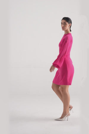 Panelled Skater Sheer Sleeved Dress
